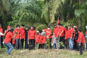Gerakan Cinta Lingkungan, DPC PDI Perjuangan Batu Bara Tanam Ribuan Pohon