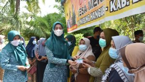 Ketua TP PKK Batu Bara Berikan Bantuan Pelaku UMKM Di Lima Desa