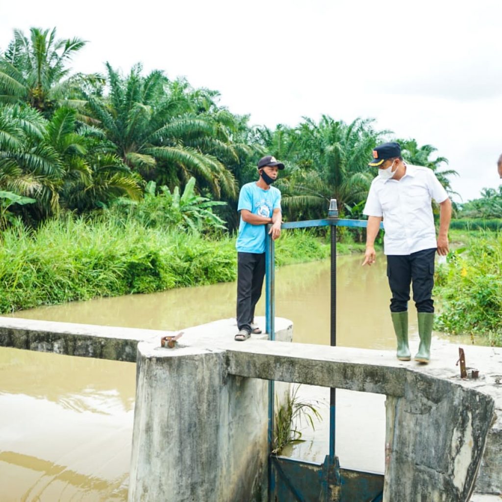 Bupati Batu Bara Tinjau Irigasi Sungai Kwala Gunung