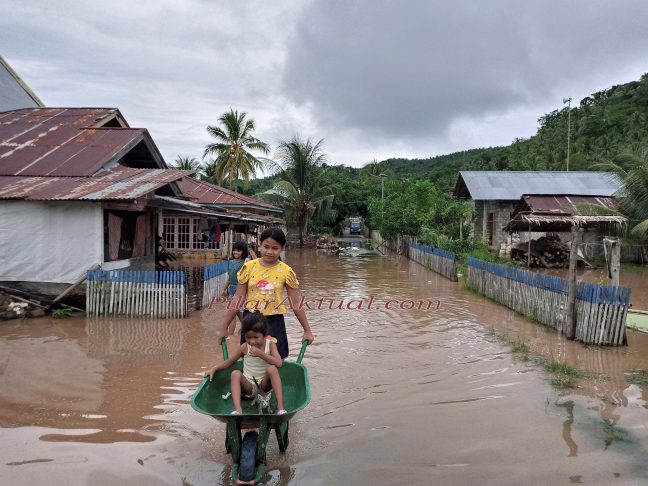 Puluhan Rumah Warga Jiko Bersatu Terendam Banjir