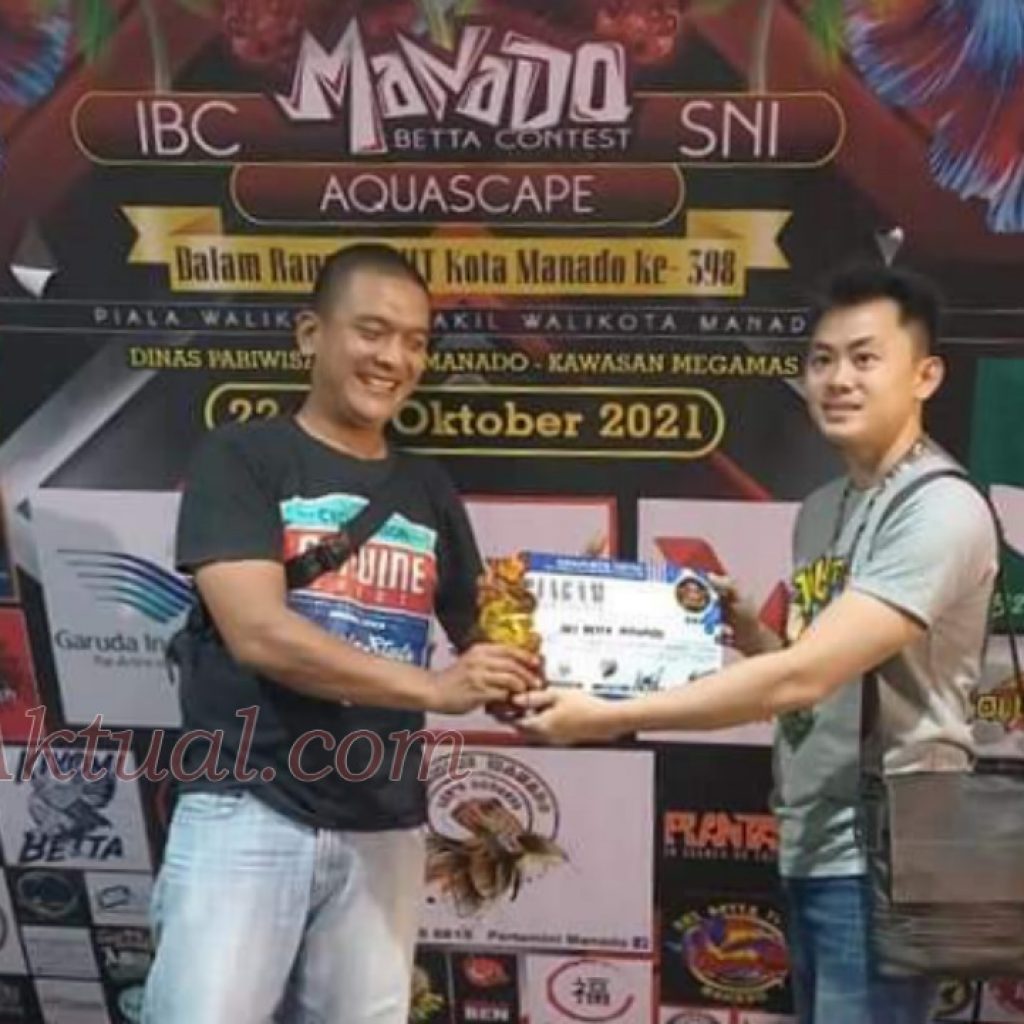 Pemuda Ini Harumkan Nama Boltim di Kontes Ikan Cupang