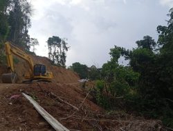 Astaga, 17 Hektare Lahan Perkebunan Desa Molobog Barat Dijadikan Pertambangan Ilegal
