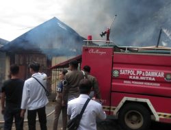 Sijago Merah Ngamuk di Tosuraya Selatan