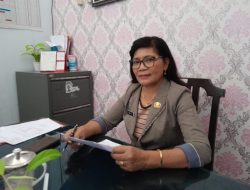 DP3A Mitra Tangani 16 Kasus Kekerasan dan Pelecehan Seksual di Tahun 2023