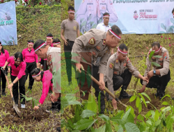 Bentuk Kepedulian Kapolri, Seribu Bibit Pohon Mahoni Ditanam Polres Mitra Serta Jajaran