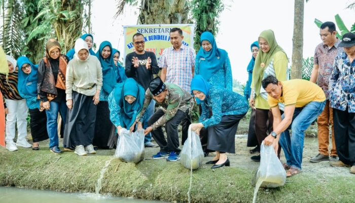 Lakukan Pembinaan, TP PKK Batu Bara Berikan Bibit Tanaman Dan Benih Ikan