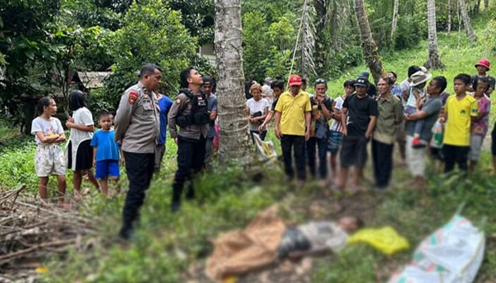 Diduga Jatuh dari Pohon Langsat, Mayat Pria Ditemukan Warga di Area Kebun Watupal
