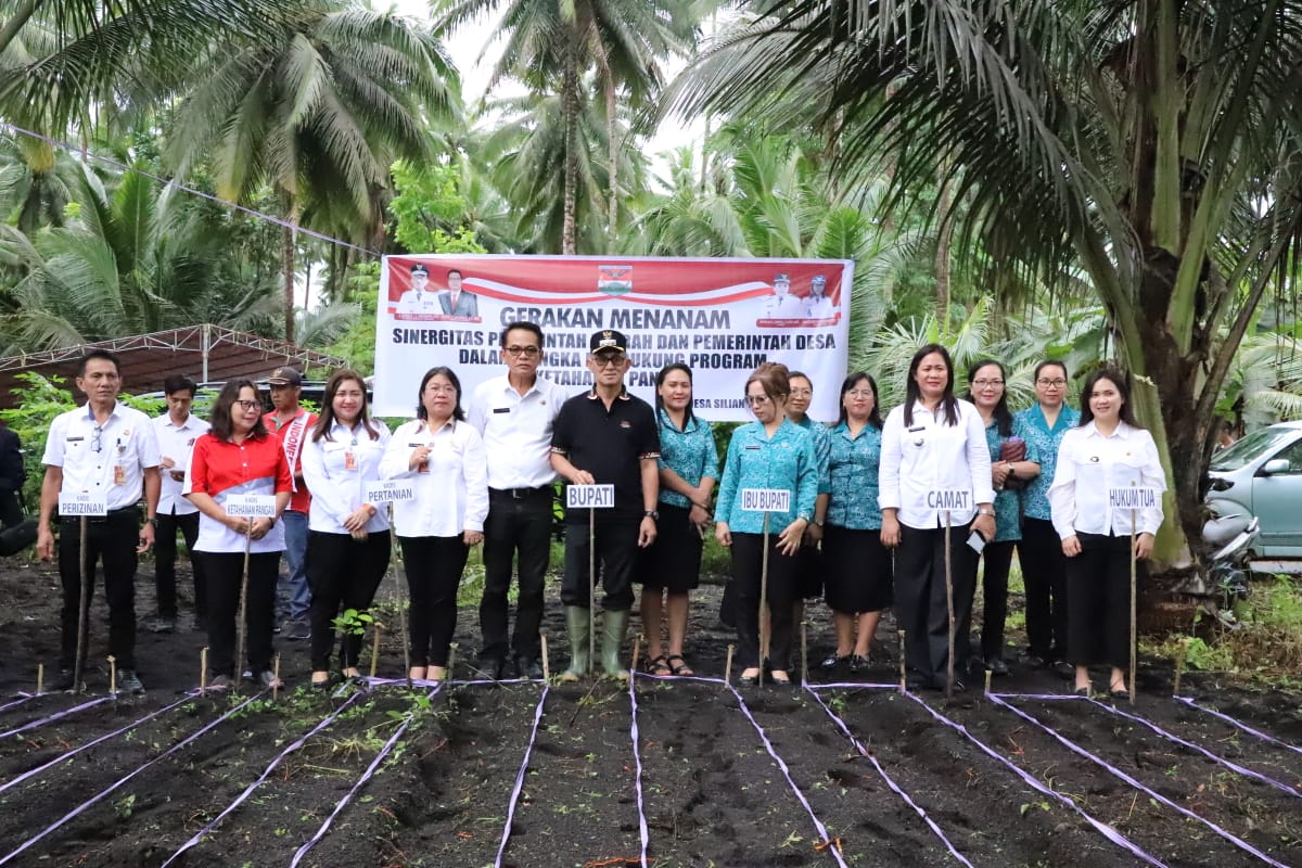 Ketahanan Pangan Terus Diperkuat, Pj Bupati Mitra Bersama Ketua PKK Tanam Kacang di Silian Raya