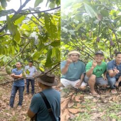 Petani Kakao Kopandakan I Siap Menangkan Pasangan The Winner