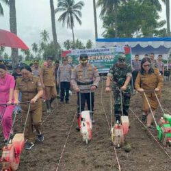 Polres Minsel Gelar Penanaman Jagung Serentak di Amurang, Dukung Ketahanan Pangan Nasional