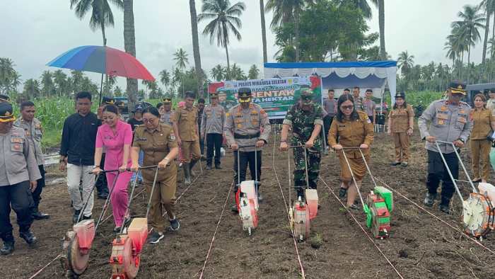 Polres Minsel Gelar Penanaman Jagung Serentak di Amurang, Dukung Ketahanan Pangan Nasional