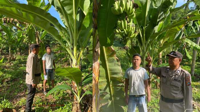 Polsek Nuangan Dukung Ketahanan Pangan, Personel Sambangi Pekarangan Warga Desa Jiko