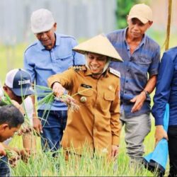 Hadiri Panen Raya Bawang Merah, Wali Kota Wenny Gaib Apresiasi Kerja Keras Petani Pobundayan