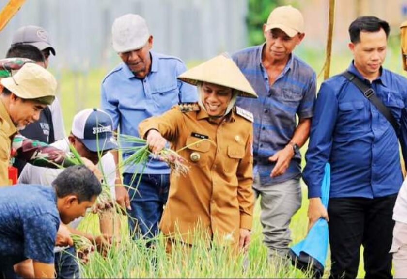Hadiri Panen Raya Bawang Merah, Wali Kota Wenny Gaib Apresiasi Kerja Keras Petani Pobundayan