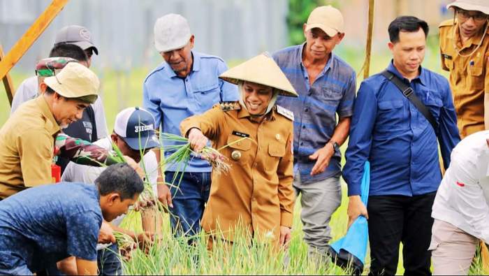 Hadiri Panen Raya Bawang Merah, Wali Kota Wenny Gaib Apresiasi Kerja Keras Petani Pobundayan