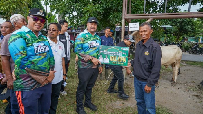 Bupati Batu Bara Serahkan Hewan Kurban, 41 Sapi untuk Masjid dan Panti Asuhan