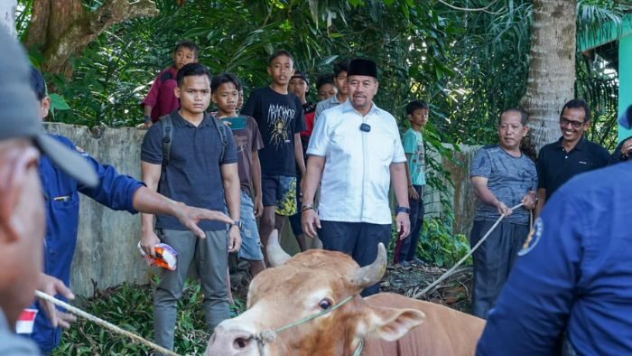 Bupati Batu Bara Serahkan Hewan Qurban dari Presiden Prabowo di Masjid Bahar Zein