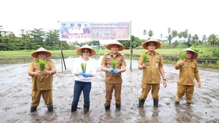 Dorong Swasembada Pangan, Bupati Ronald Kandoli Tanam Padi di Pusomaen