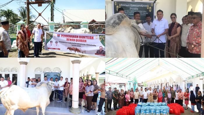 Idul Adha Penuh Berkah, Bupati Ronald Kandoli Salurkan Bantuan Sapi Qurban ke Masjid