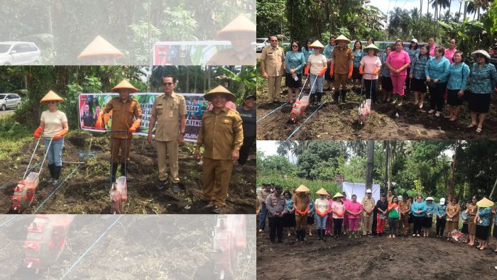Pemkab Mitra Dorong Ketahanan Pangan Lewat Penanaman Bibit Jagung dan Bumbu Dapur di Desa Lobu