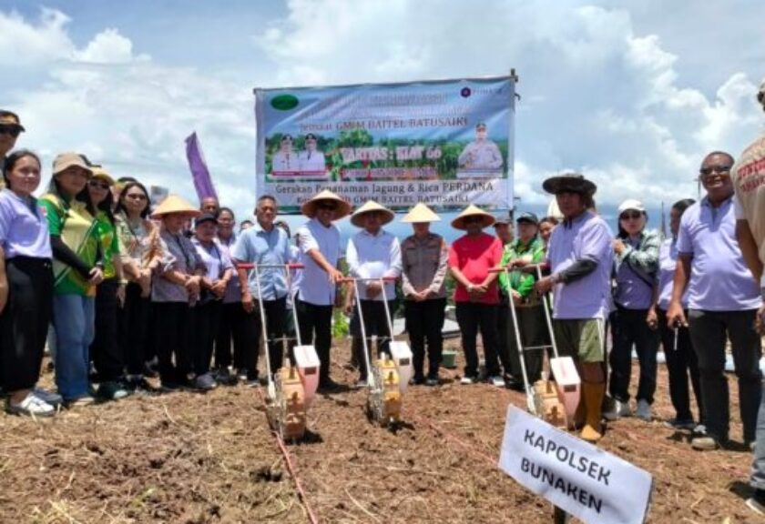 Tunjang Program Ketahanan Pangan, Komisi PSDD GMIM Baitel Batusaiki Gandeng Pemerintah Tanam Jagung dan Cabe
