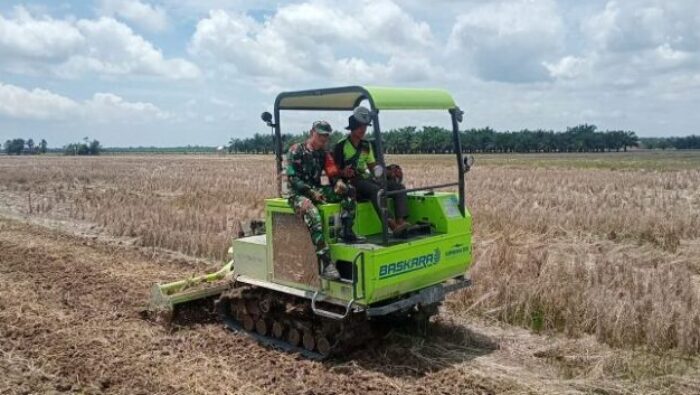 Dukung Swasembada Pangan, Babinsa Koramil 02/TL Motivasi Petani Di Kuala Bangka