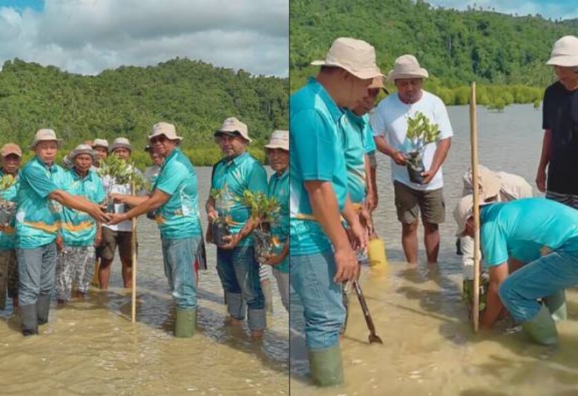 Bupati Oskar Manoppo Pimpin Aksi Tanam Mangrove di Desa Loyow, Tegaskan Komitmen Jaga Laut Boltim