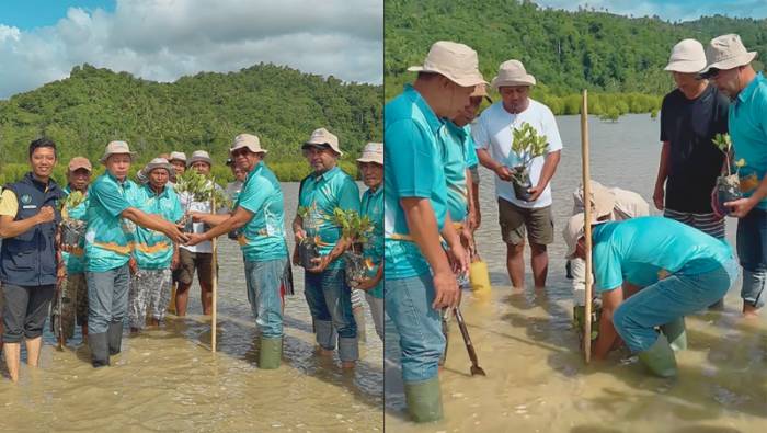 Bupati Oskar Manoppo Pimpin Aksi Tanam Mangrove di Desa Loyow, Tegaskan Komitmen Jaga Laut Boltim
