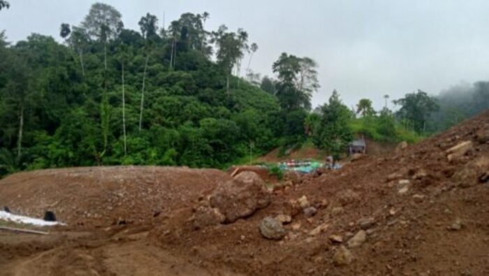 PETI di Perkebunan Oboy Diduga Masuk Kawasan HPT, KPH Siap Turun Tangan