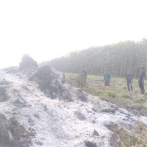 Gerak Cepat Tanggulangi Titik Api di Langga Payung, Kodim 0209/LB Terus Kuwatkan Pantaun