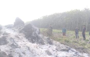 Gerak Cepat Tanggulangi Titik Api di Langga Payung, Kodim 0209/LB Terus Kuwatkan Pantaun