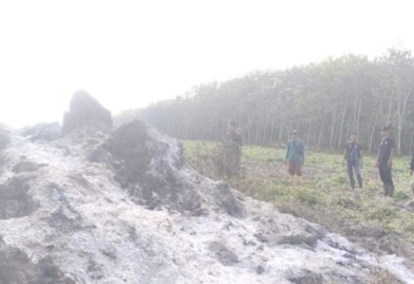 Gerak Cepat Tanggulangi Titik Api di Langga Payung, Kodim 0209/LB Terus Kuwatkan Pantaun