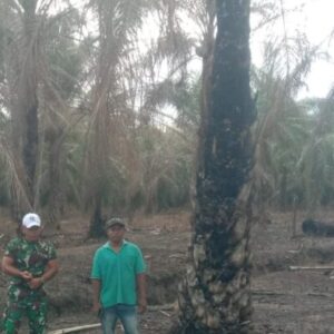 Antisipasi Ancaman Karhutla, Babinsa Koramil 02/TL Groundcheck dan Pastikan Titik Api di Sei Sentang Padam 