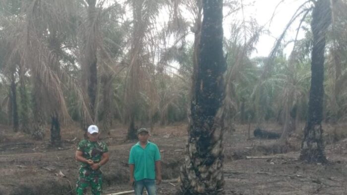 Antisipasi Ancaman Karhutla, Babinsa Koramil 02/TL Groundcheck dan Pastikan Titik Api di Sei Sentang Padam 