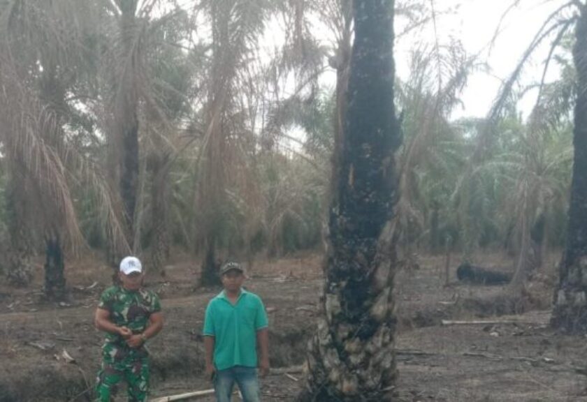 Antisipasi Ancaman Karhutla, Babinsa Koramil 02/TL Groundcheck dan Pastikan Titik Api di Sei Sentang Padam 