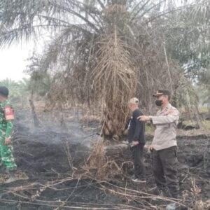 Jaga Kelestarian Lingkungan Pesisir, Dandim 0209/LB Himbau Masyarakat Agar Hentikan Pola Pembersihan Lahan Dengan Di Bakar
