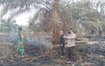 Jaga Kelestarian Lingkungan Pesisir, Dandim 0209/LB Himbau Masyarakat Agar Hentikan Pola Pembersihan Lahan Dengan Di Bakar