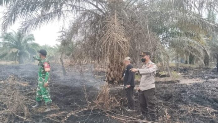 Jaga Kelestarian Lingkungan Pesisir, Dandim 0209/LB Himbau Masyarakat Agar Hentikan Pola Pembersihan Lahan Dengan Di Bakar