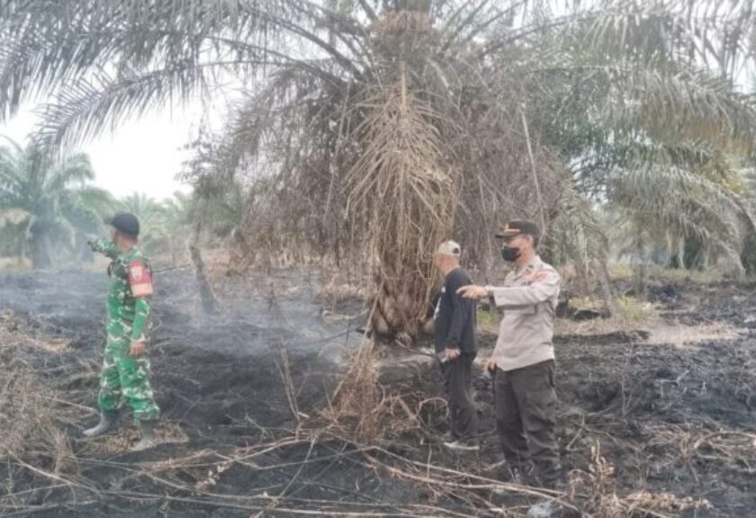 Jaga Kelestarian Lingkungan Pesisir, Dandim 0209/LB Himbau Masyarakat Agar Hentikan Pola Pembersihan Lahan Dengan Di Bakar