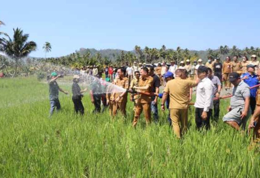 Bupati Ronald Kandoli Turun Langsung Atasi Kekeringan, Sawah Ranoketang Atas Disiram