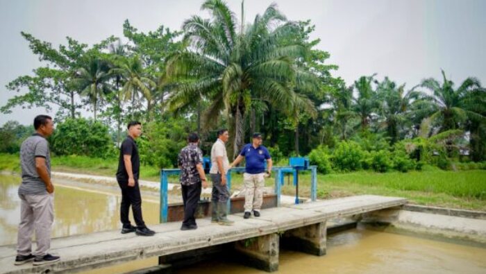 Bupati Baharuddin Tinjau Irigasi Primer Pasar 8, Dorong Penguatan Infrastruktur dan Potensi Rekreasi Air