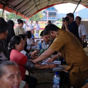 Di Balik Padatnya Antrean Pengobatan TMMD, Dedikasi Tenaga Medis Tuai Apresiasi Warga