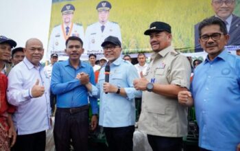 Bupati Batu Bara Baharuddin Siagian Dampingi Menko Pangan Zulhas Panen Padi di Sei Balai